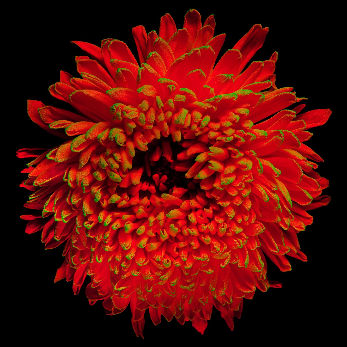 Supernova