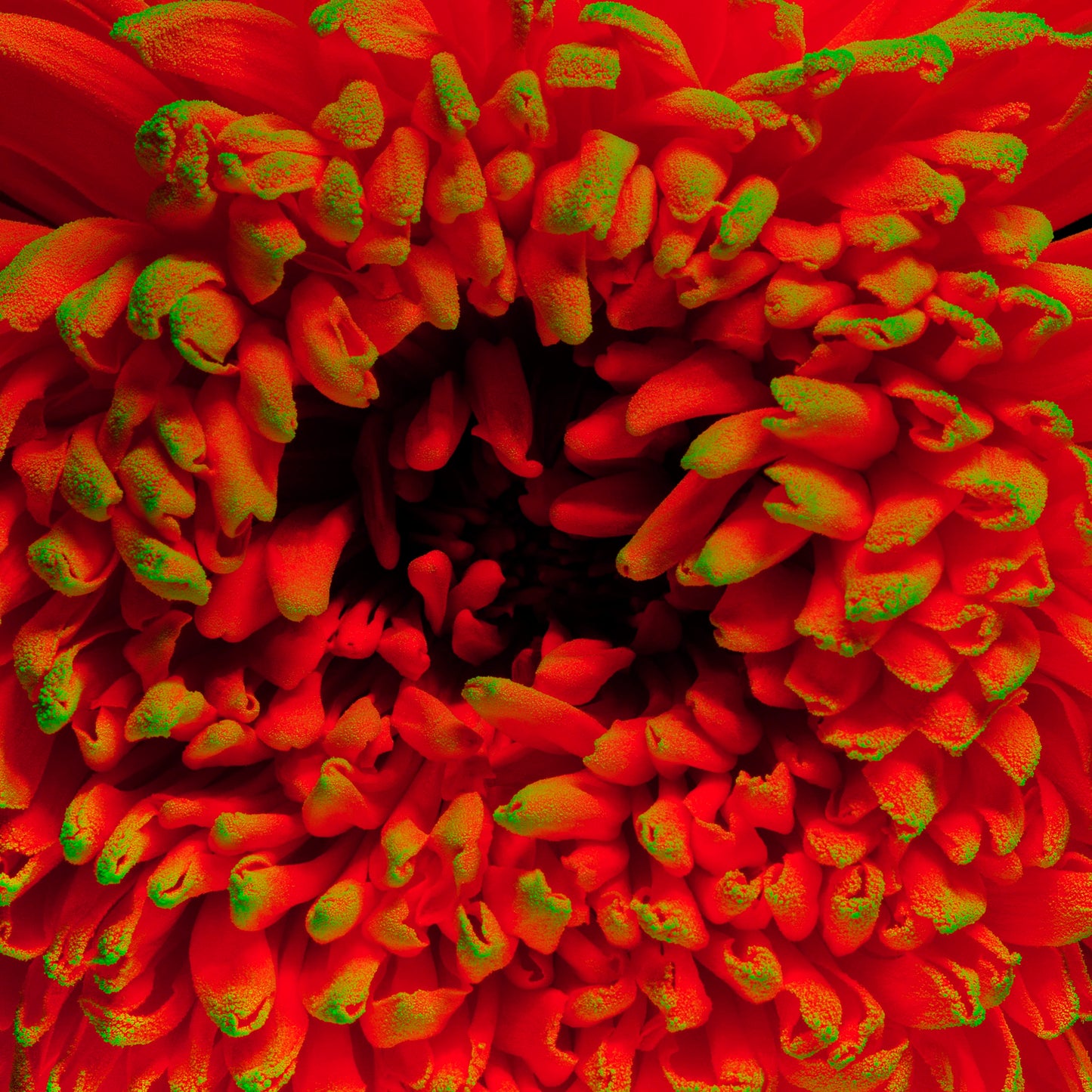 Supernova