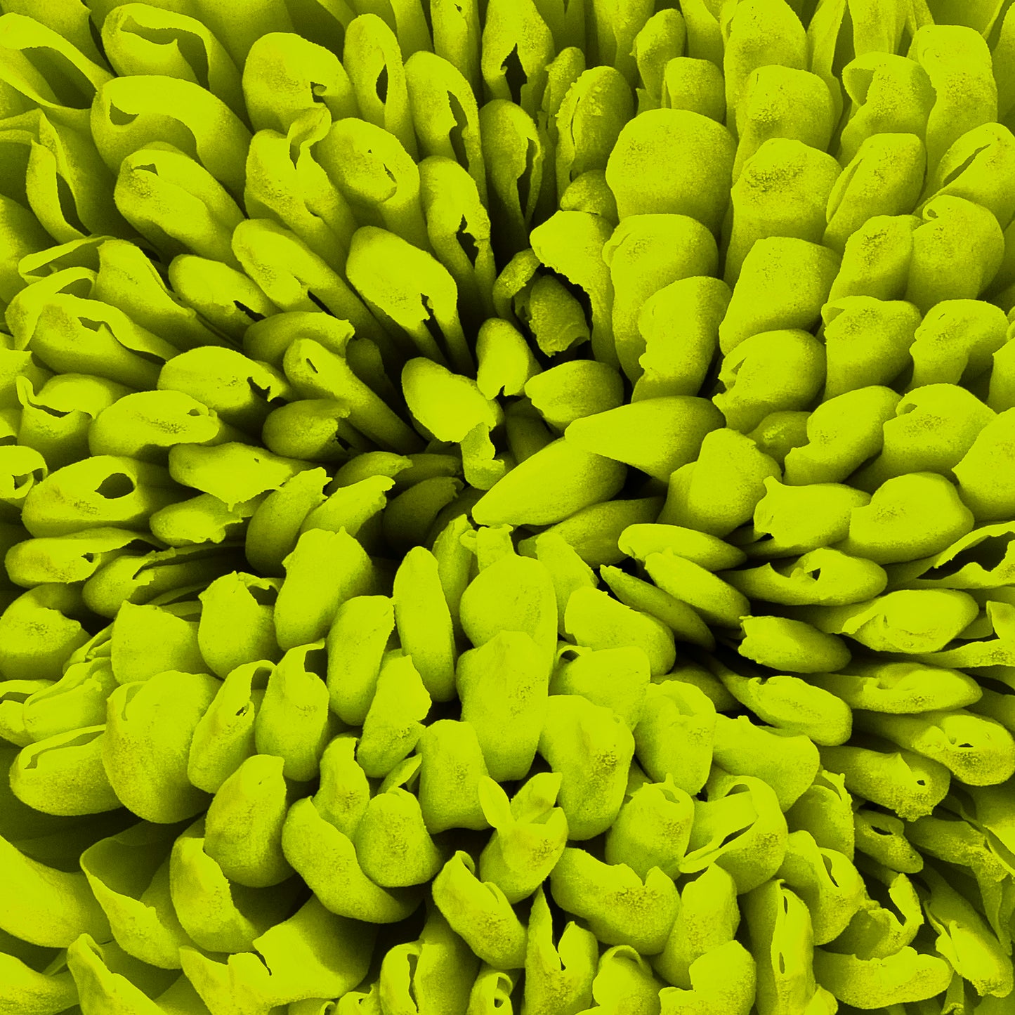 Lemon Luster