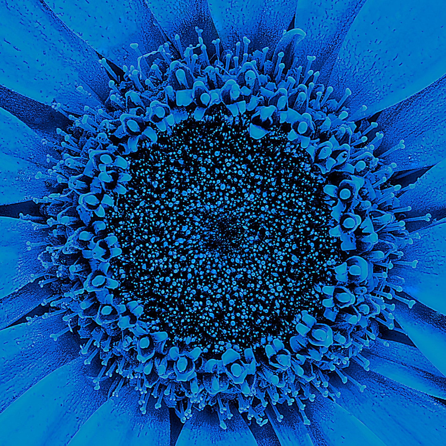 Azure Aura