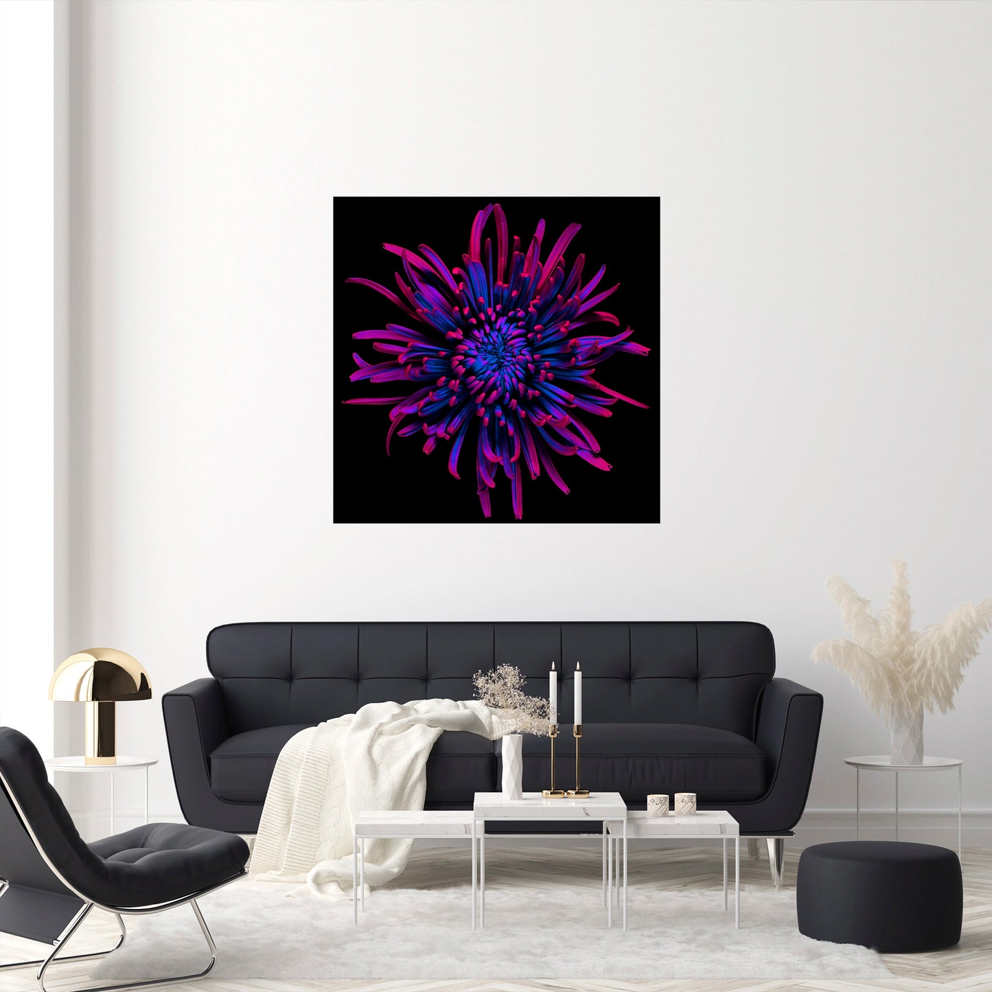 Indigo Infusion