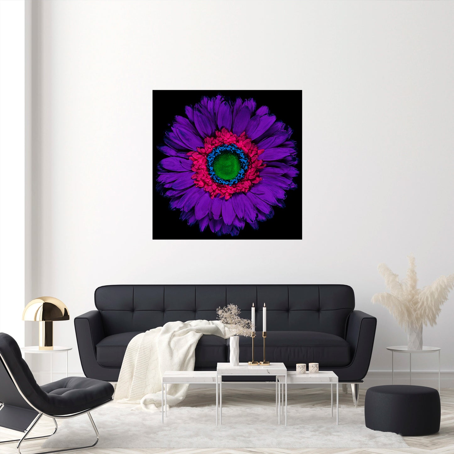 Violet Vision