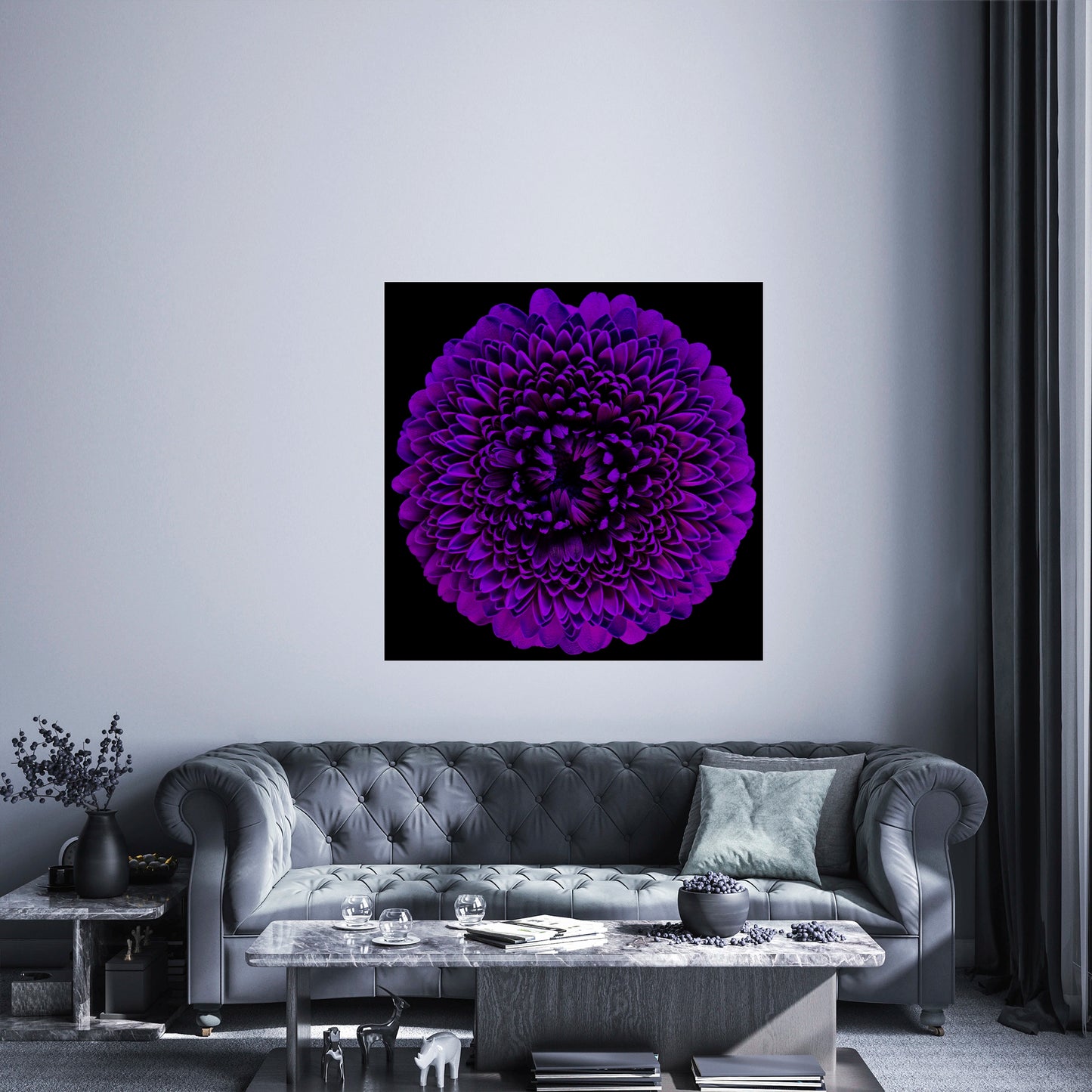 Violet Veil