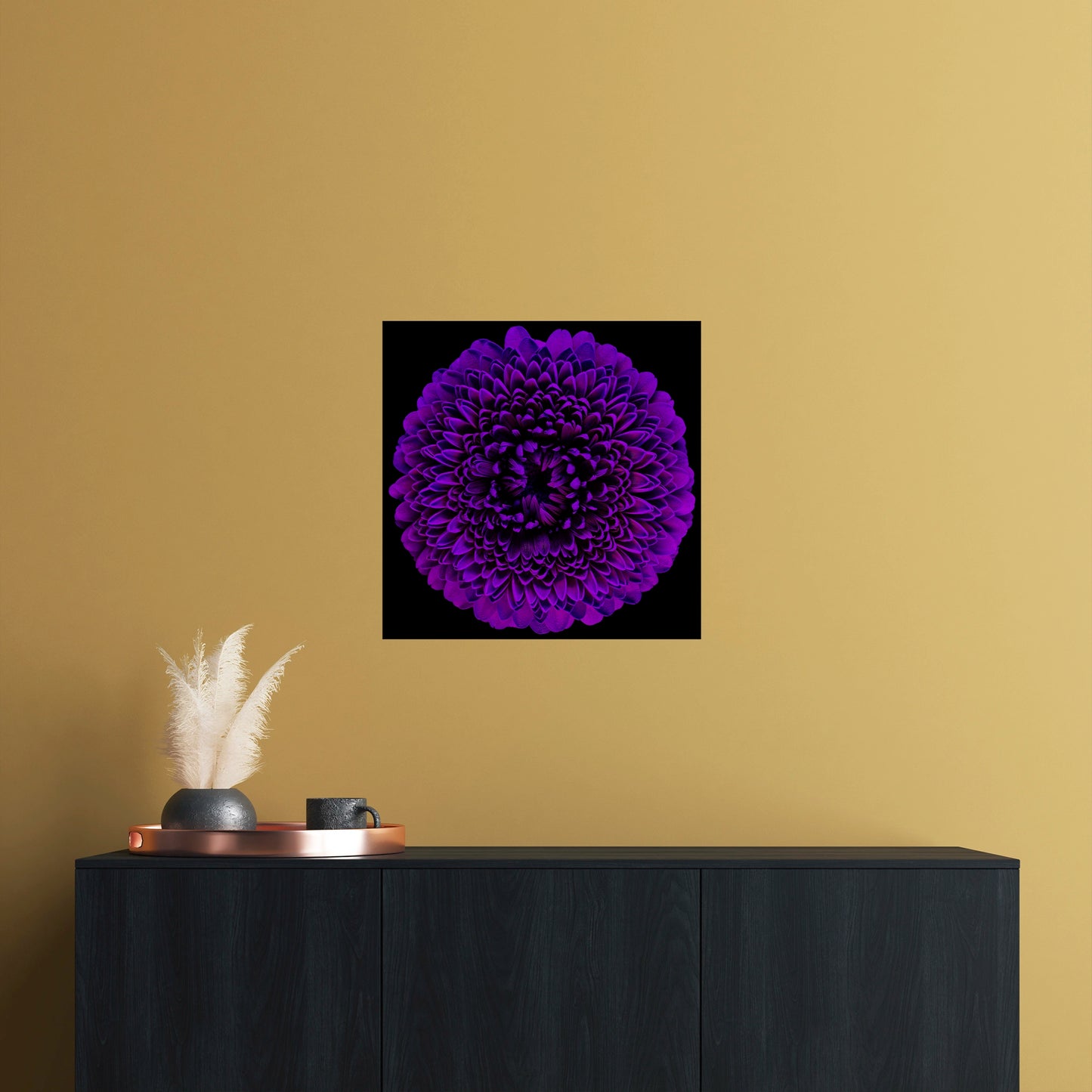 Violet Veil