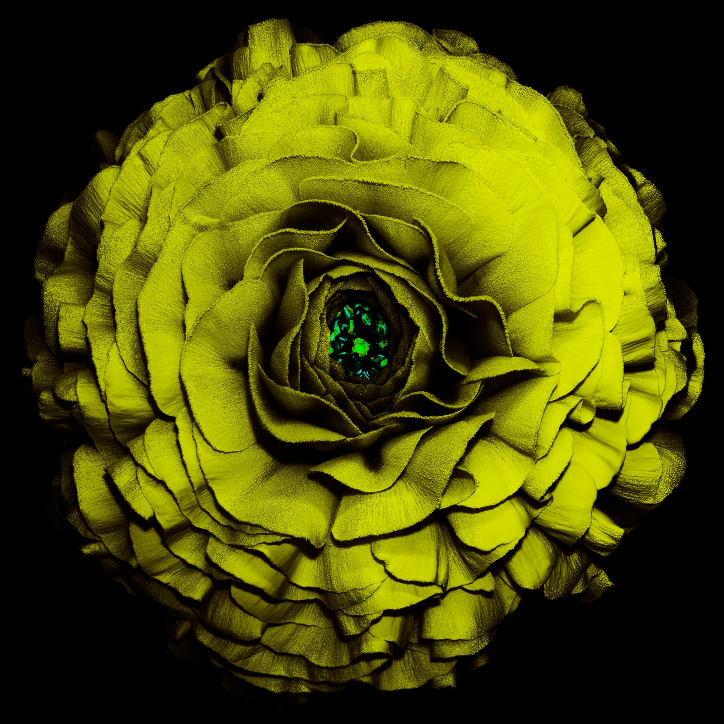 Canary Glow