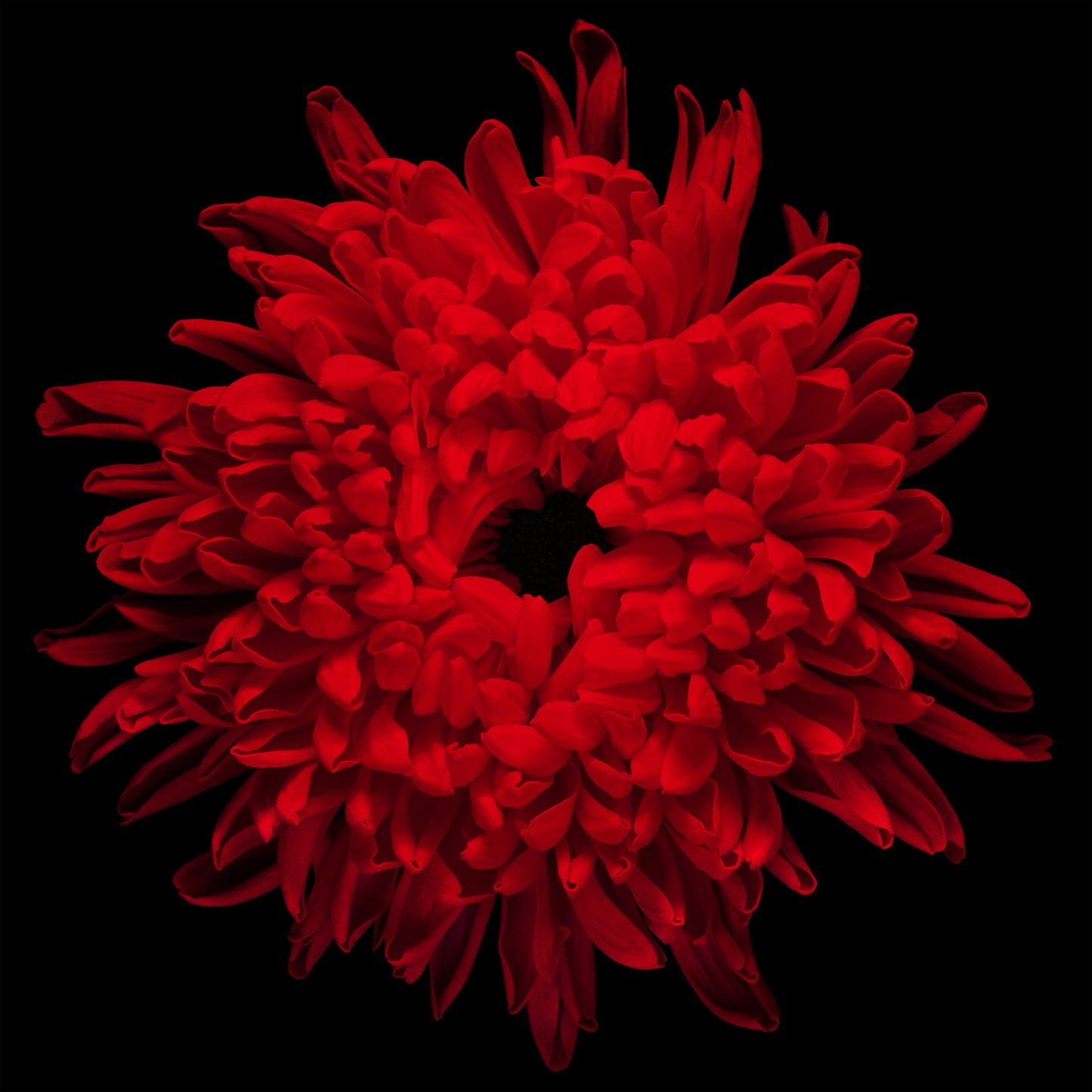 Fire Flower
