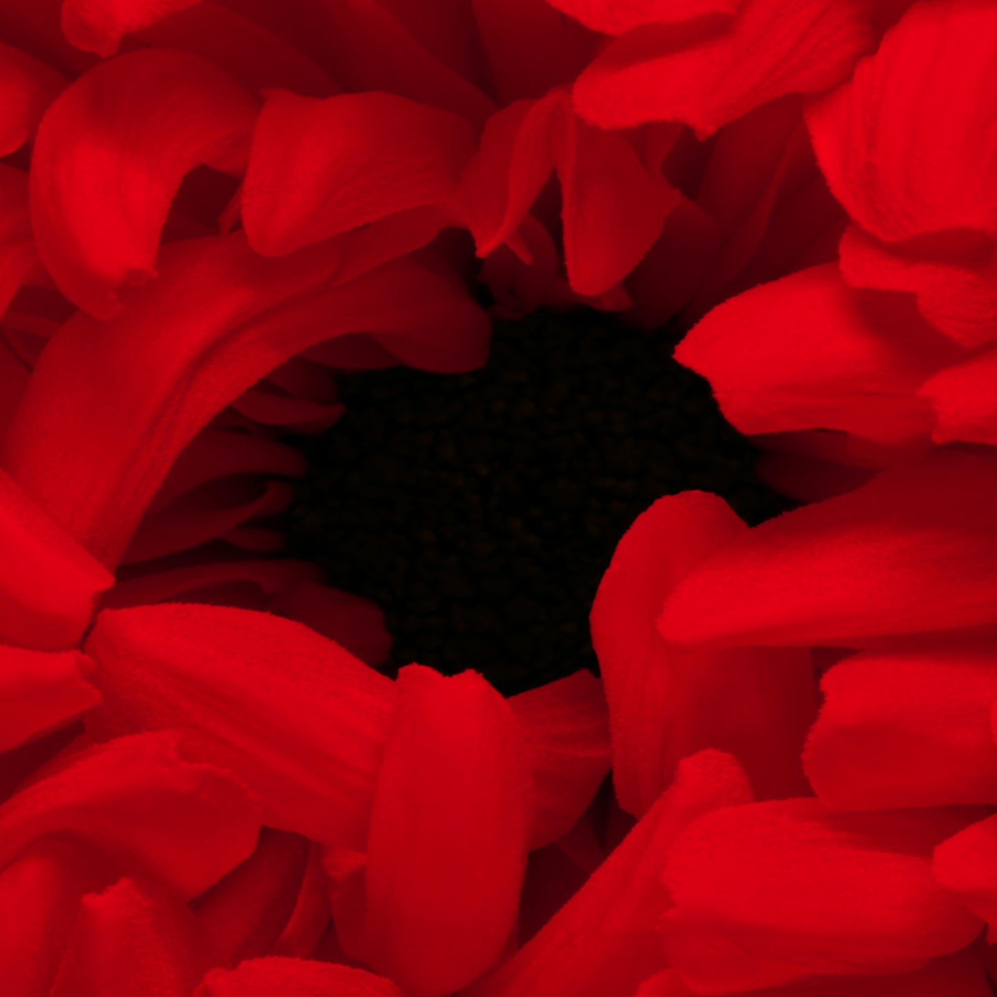 Fire Flower