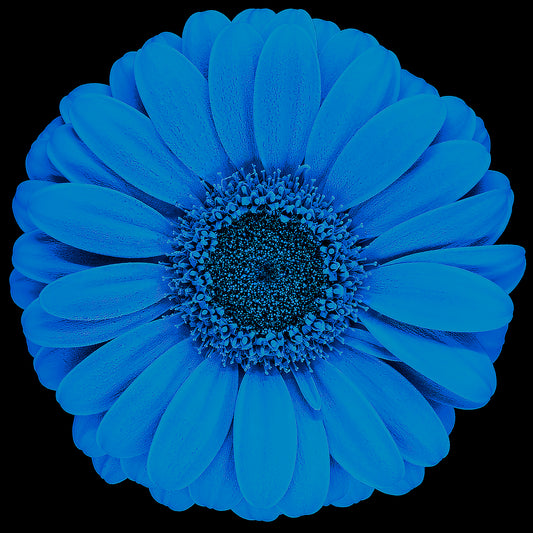 Azure Aura