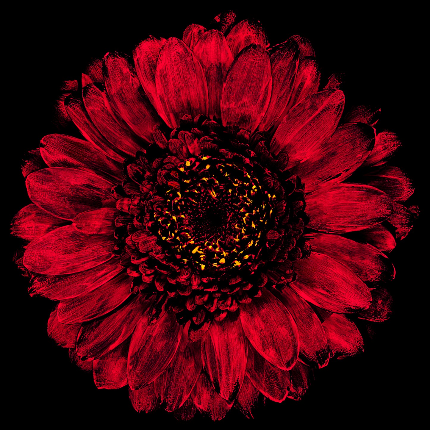 Ruby Bloom